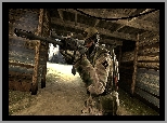 Counter Strike GO, Żołnierz, Broń
