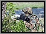 Żołnierz, Karabin, Drzewo
