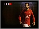 FIFA 09, Pi�karz