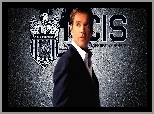 Michael Weatherly, Serial, Agenci NCIS