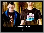 Alpha Dog, Justin Timberlake, Anton Yelchin