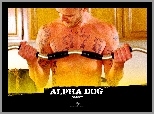 Alpha Dog, Justin Timberlake, sztanga