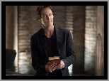 Czysta Krew, True Blood, Stephen Moyer