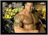 Batista, Dave Bautista, Wrestling, WWE, Aktor, Wrestler