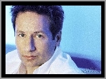 David Duchovny,biała koszula, ciemne włosy