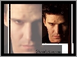 David Boreanaz,ciemne wosy