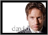 David Duchovny,koszula, krawat
