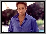 David Duchovny,niebieska koszula