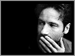 David Duchovny,wąsy, broda