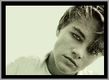 Leonardo DiCaprio,twarz