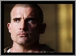 Dominic Purcell,niebieskie oczy