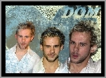 Dominic Monaghan,niebieskie oczy, brdka