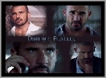 Dominic Purcell,okulary, komórka