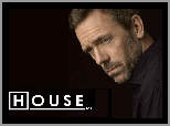 Dr. House,  Hugh Laurie