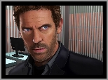 Dr House, Hugh Laurie, Grafika