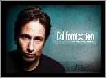 David Duchovny, Serial, Californication