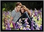 Łąka, Kwiaty, Robert Pattinson, Kristen Stewart
