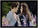 Łąka, Kwiaty, Robert Pattinson, Kristen Stewart