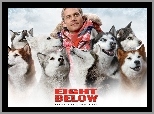 Eight Below, Paul Walker, psy