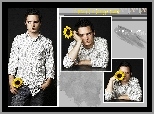 Elijah Wood,koszula, słonecznik