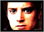 Elijah Wood,niebieskie oczy, twarz