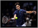 Roger Federer,Tennis