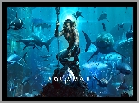 Film, Aquaman, Aktor, Jason Momoa