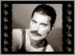 Freddie Mercury, 1946-1991