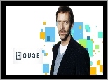 Dr House, Serial, Hugh Laurie