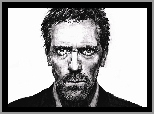 Dr. House, Hugh Laurie