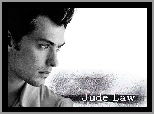 Jude Law,profil twarzy