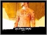 Justin Timberlake, Alpha Dog