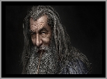 Ian McKellen, Czarodziej, Gandalf Szary, Twarz, Portret, Hobbit