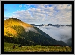 Mężczyzna, Fotograf, Polana, Góry, Lasy, Mgła