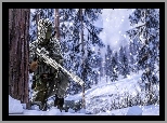 Gra, Battlefield 4, Żołnierz, Snajper, Drzewo, Zima, Las, Śnieg