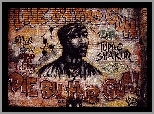 2 Pac, Graffiti