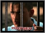 Prison Break, Skazany na śmierć, Wentworth Miller, kraty