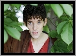 Serial, Przygody Merlina, The Adventures of Merlin, Aktor, Colin Morgan