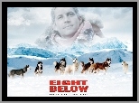 psy, góry, Eight Below, Paul Walker