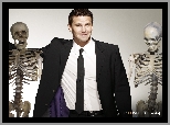 Serial, Bones, Kości, Szkielety, David Boreanaz