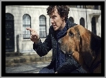 Serial, Sherlock, Benedict Cumberbatch, Pies, Bloodhound