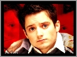 Elijah Wood, Twarz