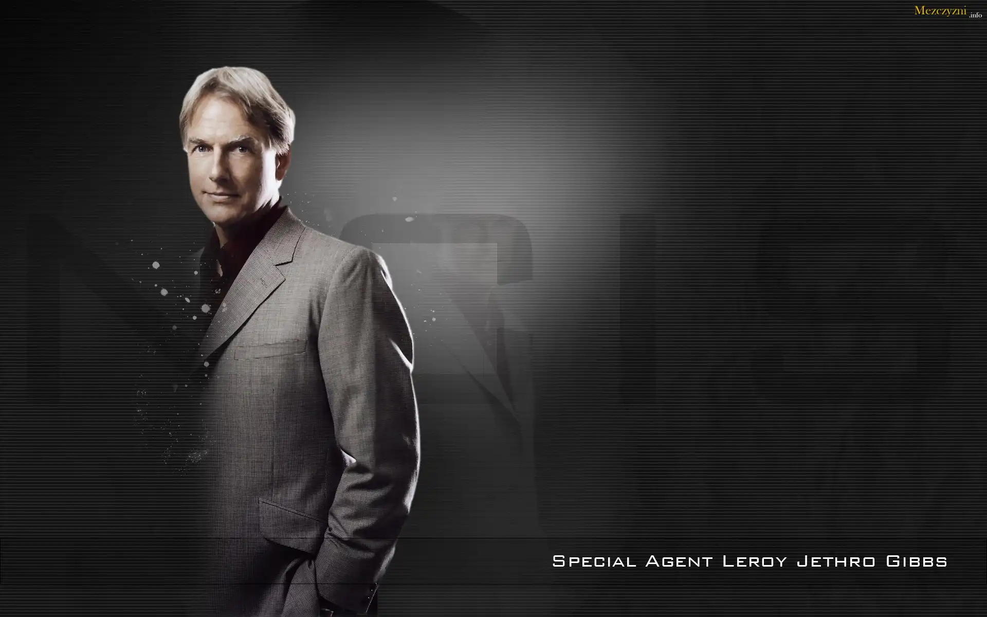 Serial, Agenci NCIS, Mark Harmon