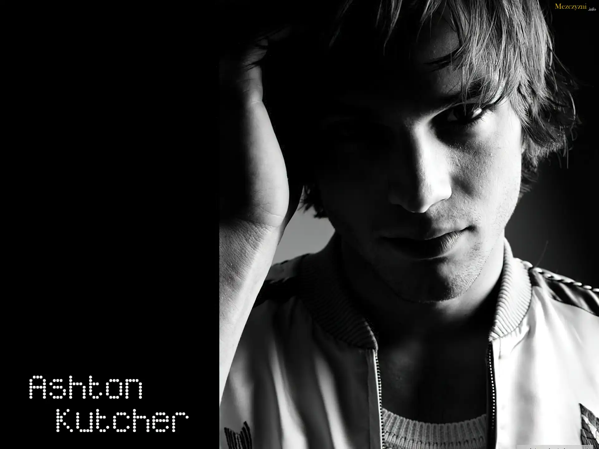 Ashton Kutcher,twarz, ręka