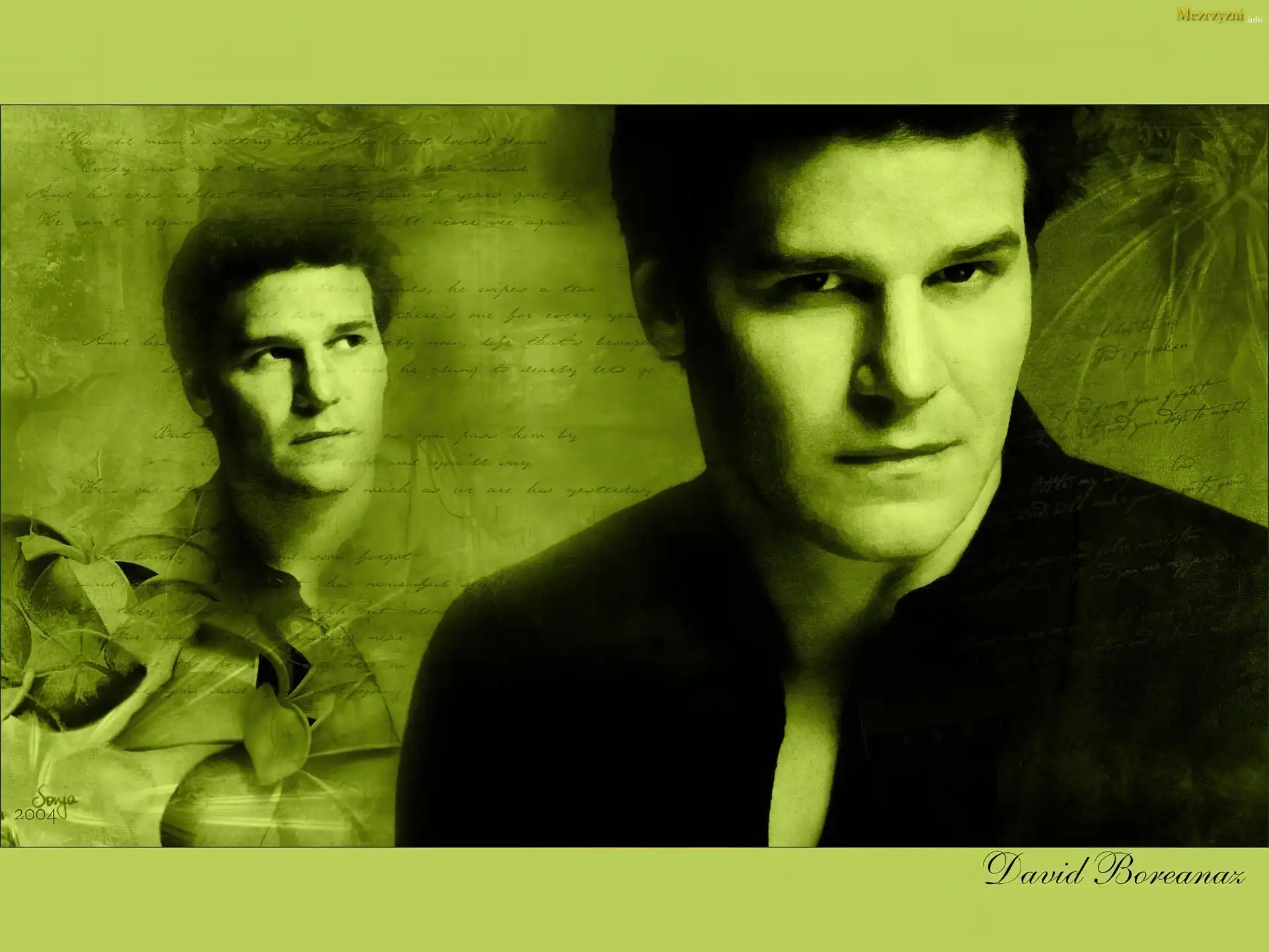 David Boreanaz,czarne włosy, ciemny strój