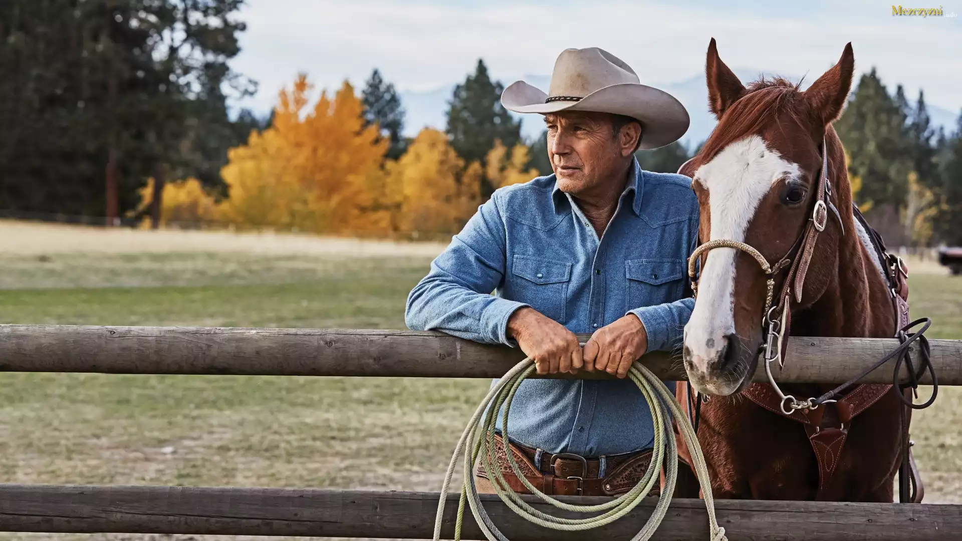 Serial, Yellowstone, Aktor, Kevin Costner, Kowboj, Koń