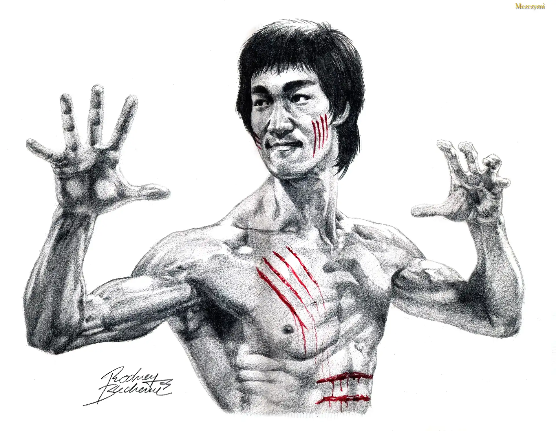 Bruce, Lee, Rysunek