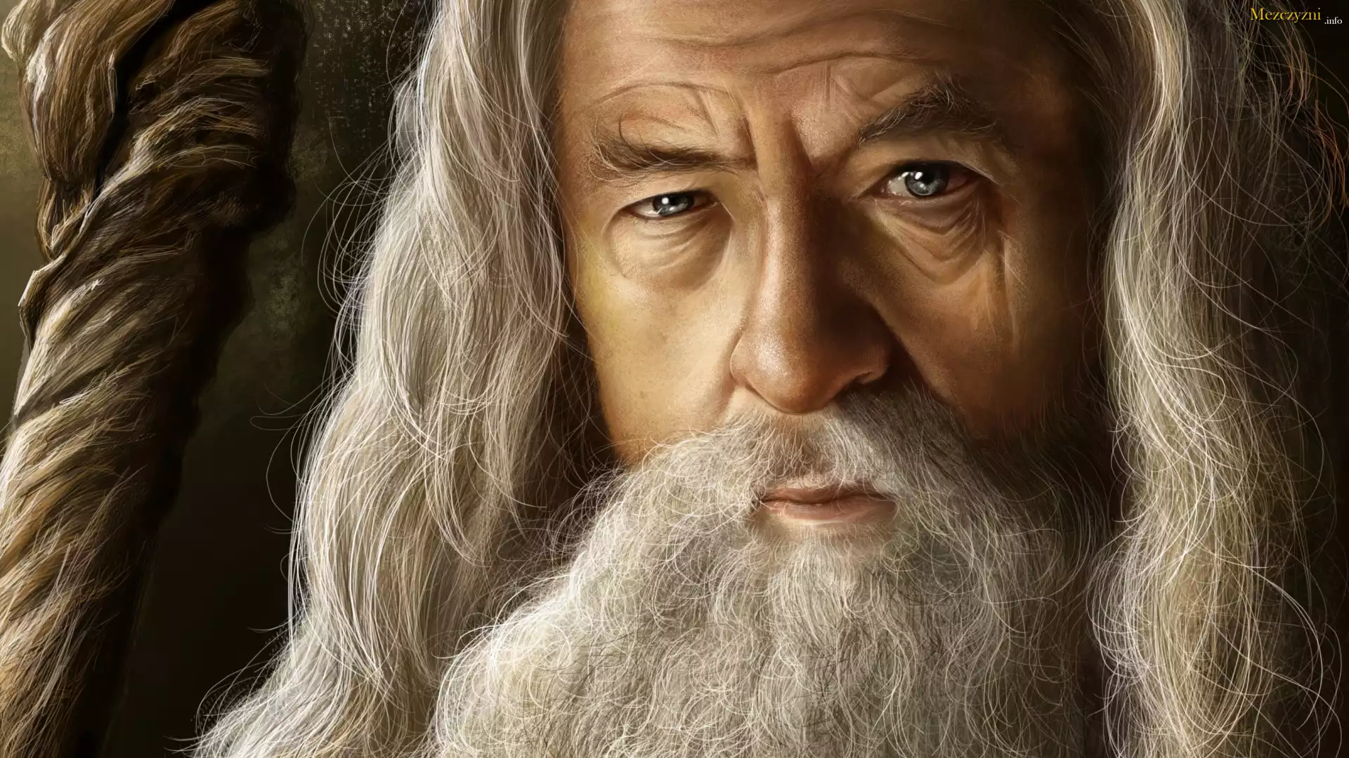 Ian Murray McKellen, Aktor, Gandalf