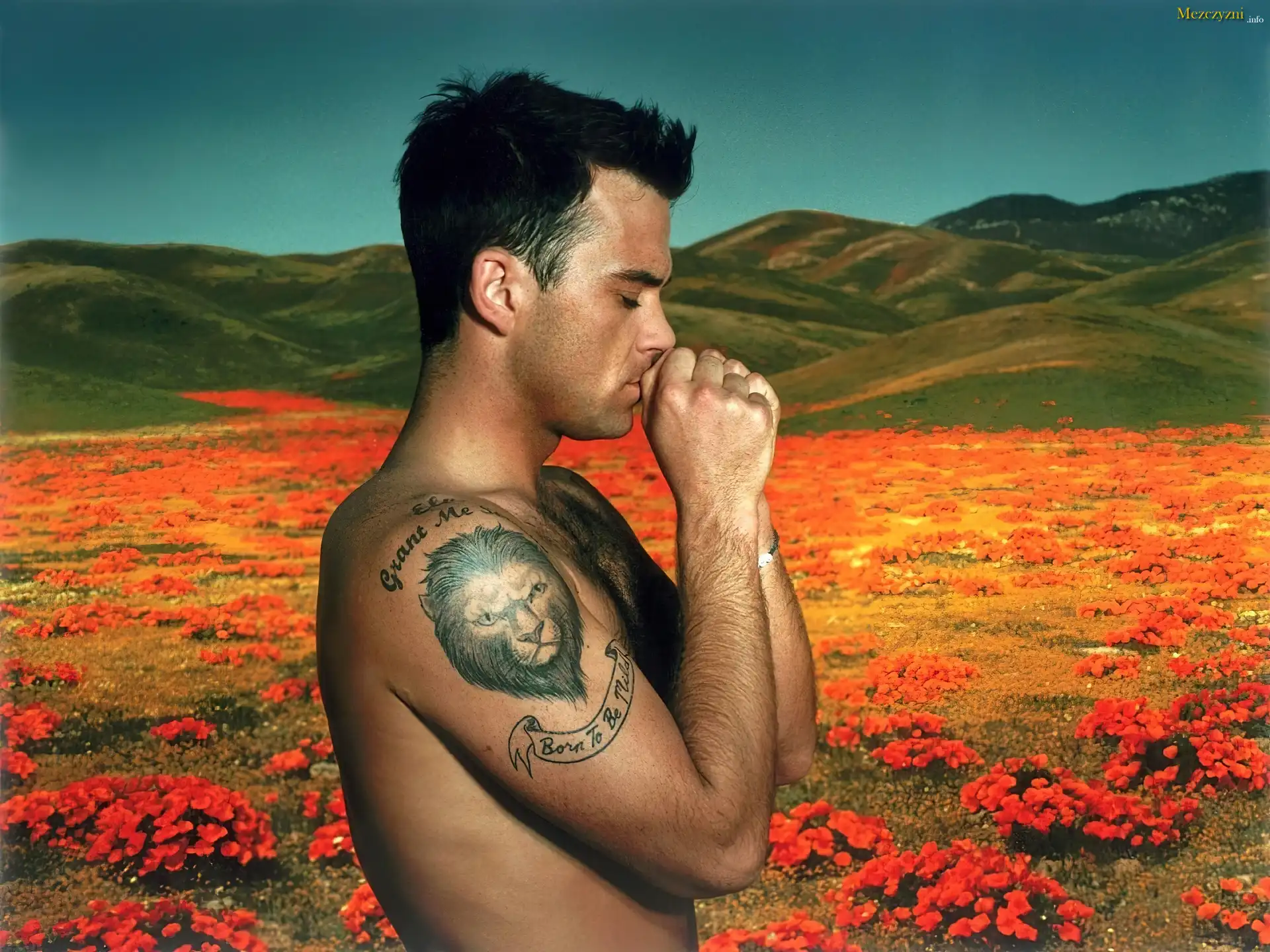 Robbie, Williams, Piosenkarz, Tatuaż, Łąka
