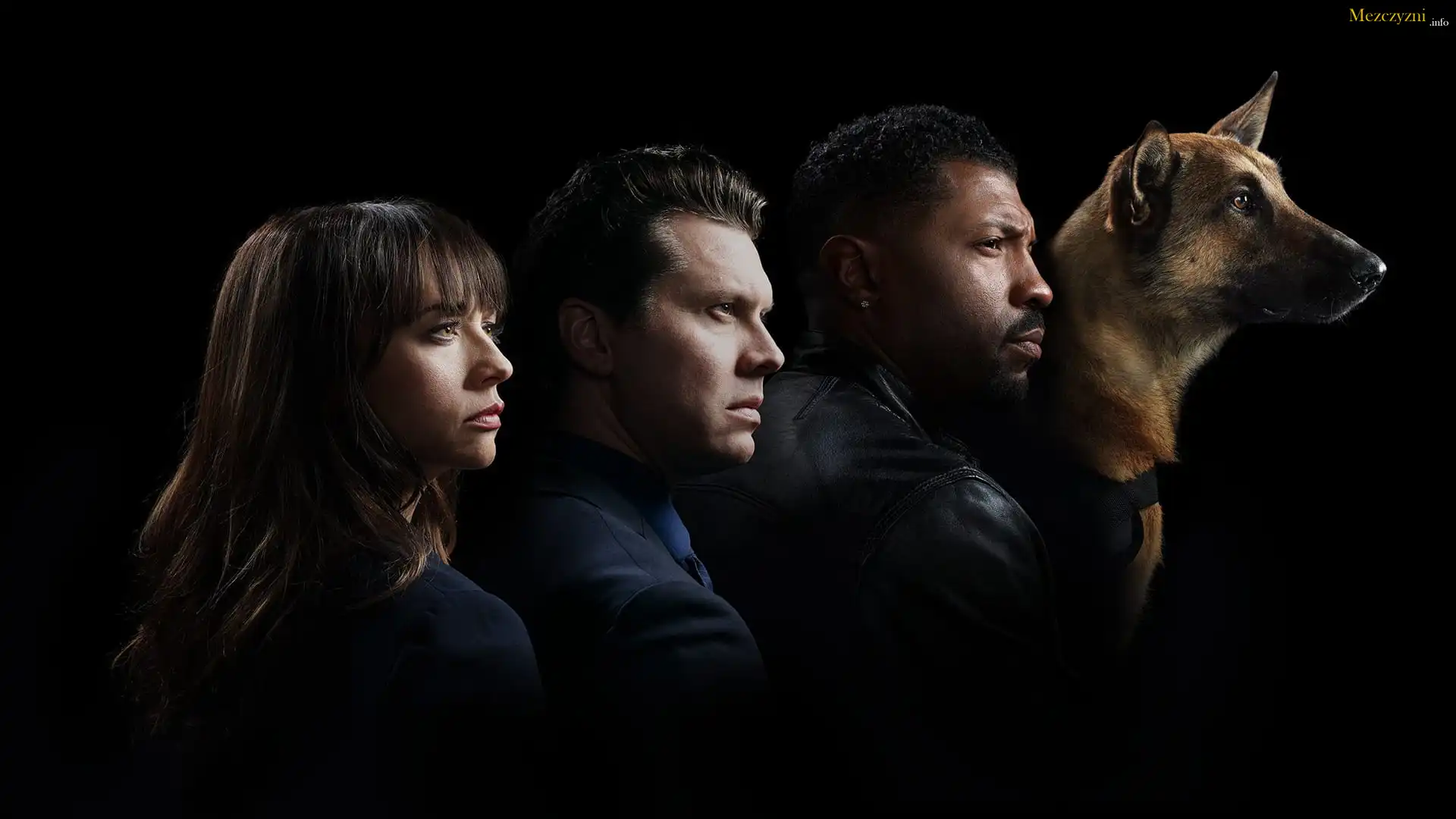Serial, Angie Tribeca, Rashida Jones, Hayes MacArthur, Deon Cole, Pies, Owczarek belgijski Malinois
